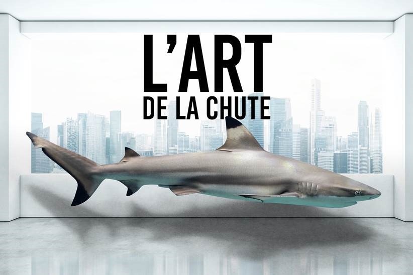 L'ART DE LA CHUTE